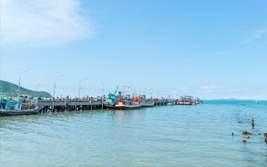 18 08 PET Rafael Defesa noticia 374 x234